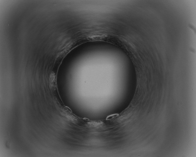 X0000091930480200709191403