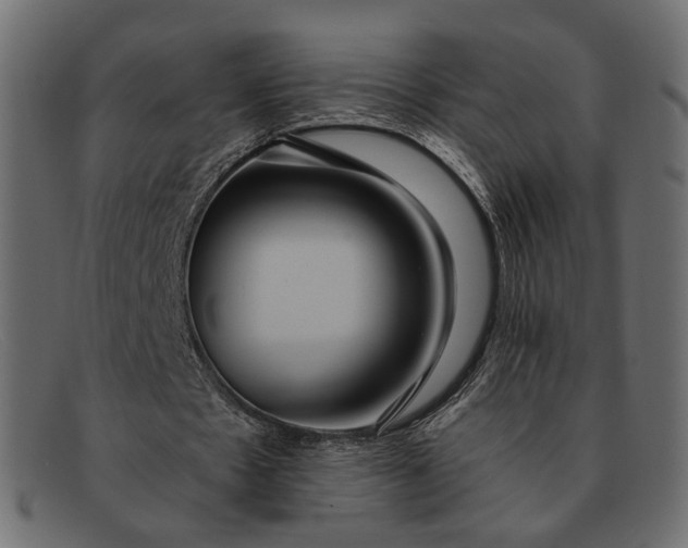 X0000091930481200709191403