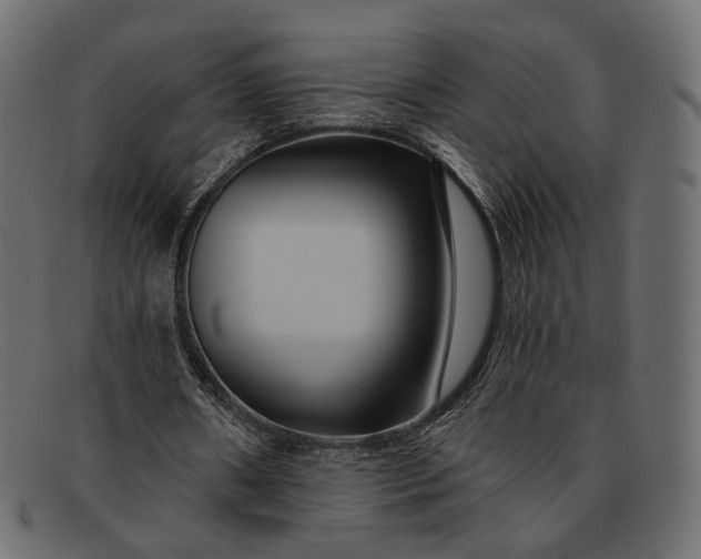 X0000091930482200709191403