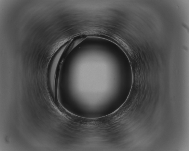 X0000091930485200709191403