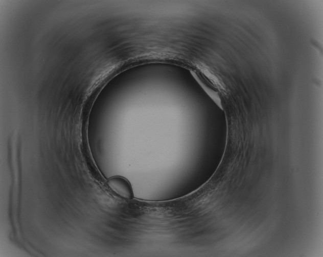 X0000091930486200709191403