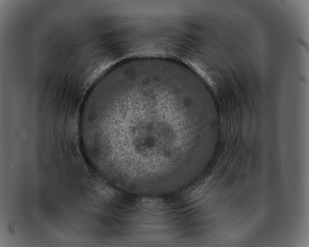 X0000091930487200709191403