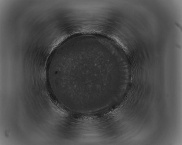 X0000091930488200709191403