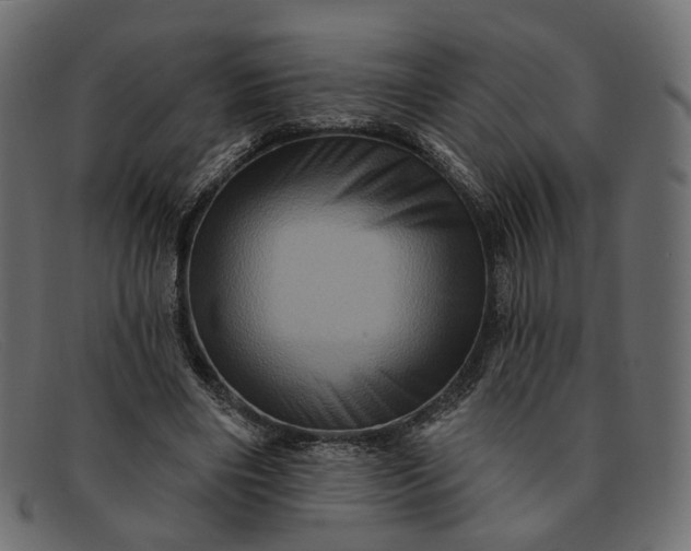 X0000091930490200709191403