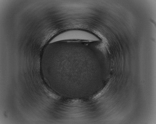 X0000091930493200709191403