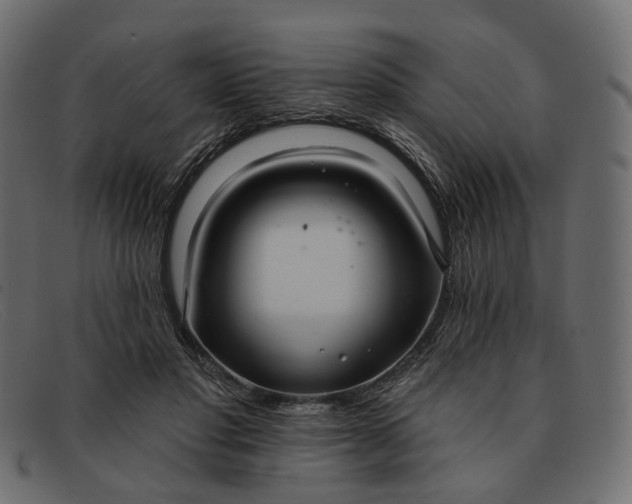 X0000091930501200709191403
