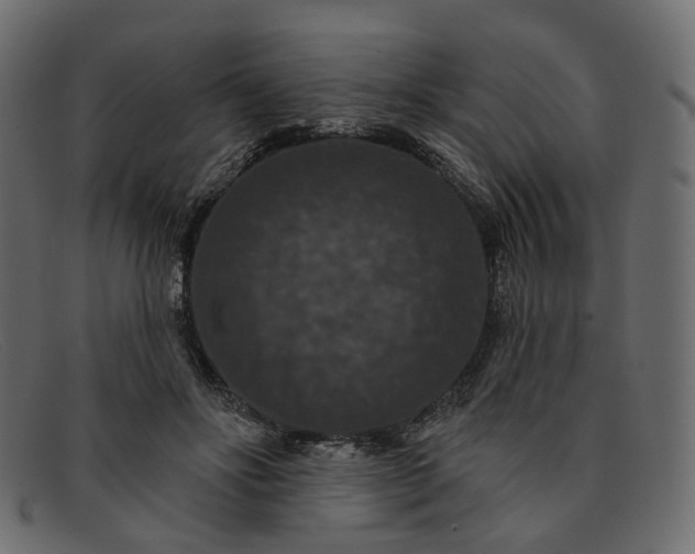 X0000091930502200709191403