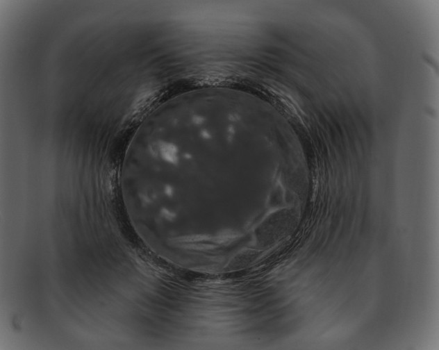 X0000091930503200709191403