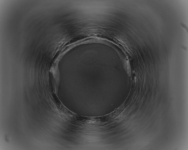 X0000091930504200709191403