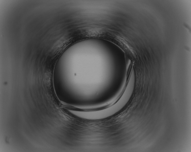 X0000091930505200709191403