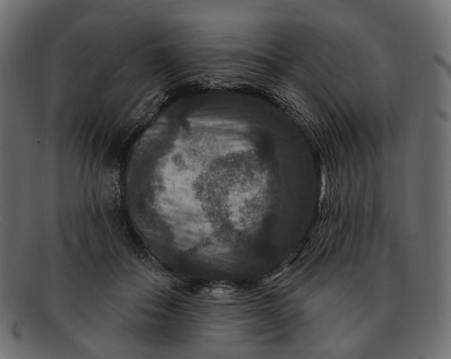 X0000091930506200709191403