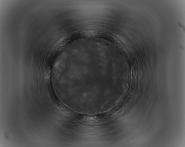 X0000091930507200709191403
