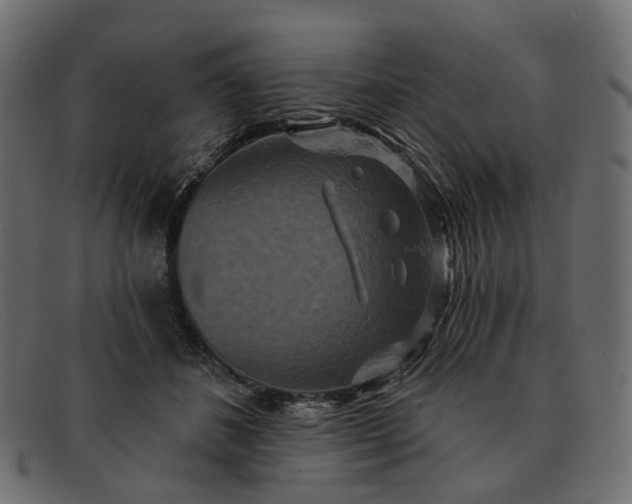 X0000091930508200709191403