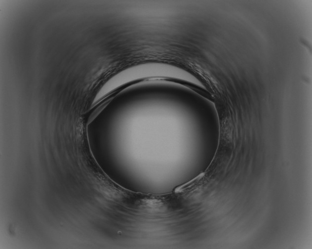 X0000091930509200709191403