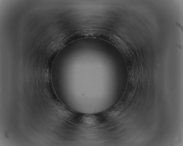 X0000091930510200709191403