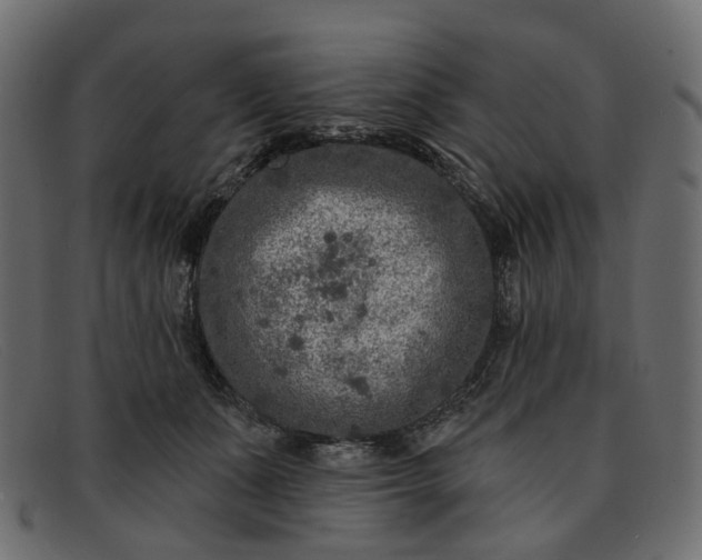 X0000091930511200709191403