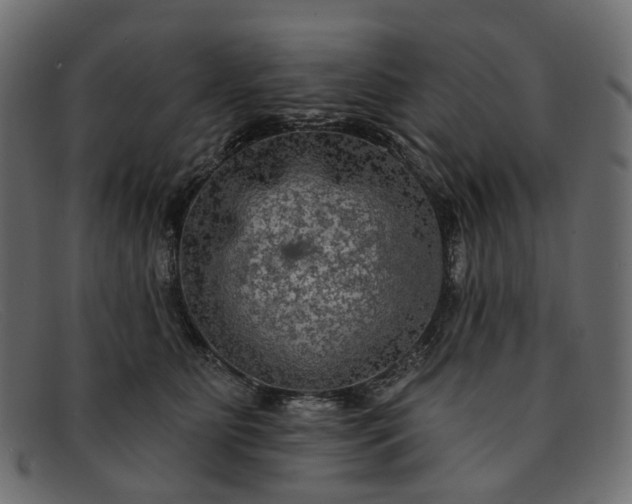 X0000091930515200709191402