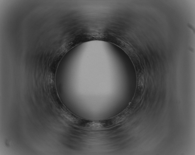X0000091930518200709191402