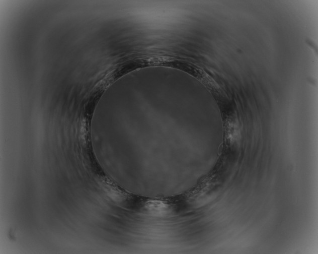X0000091930519200709191402