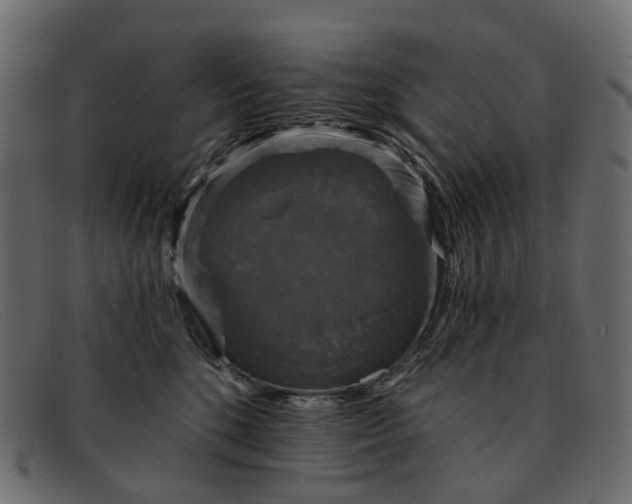 X0000091930520200709191402