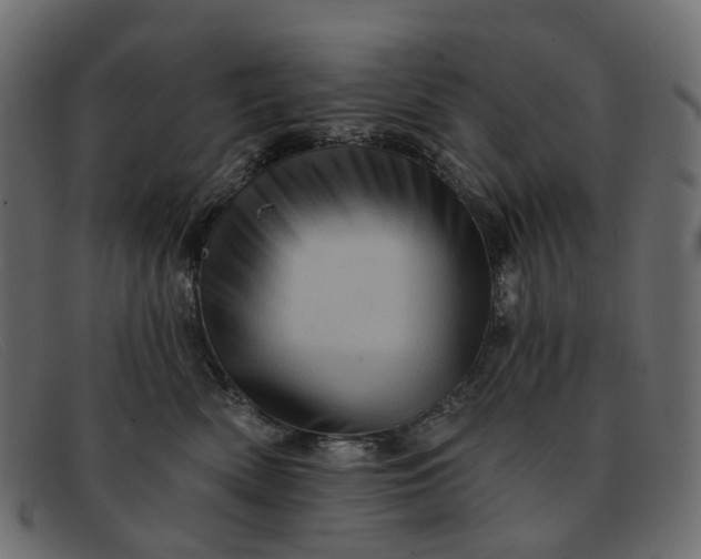 X0000091930522200709191402
