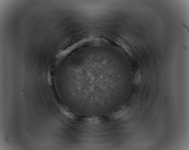 X0000091930524200709191402