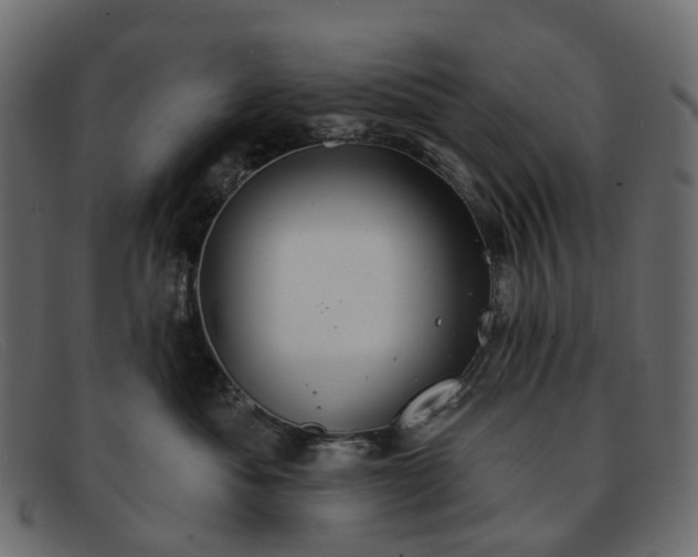 X0000091930525200709191402