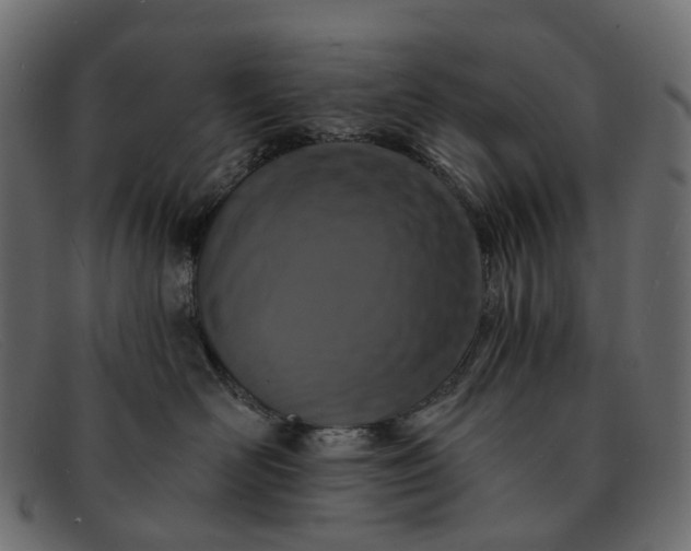 X0000091930526200709191402
