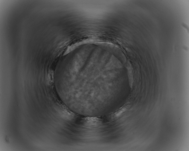 X0000091930528200709191402