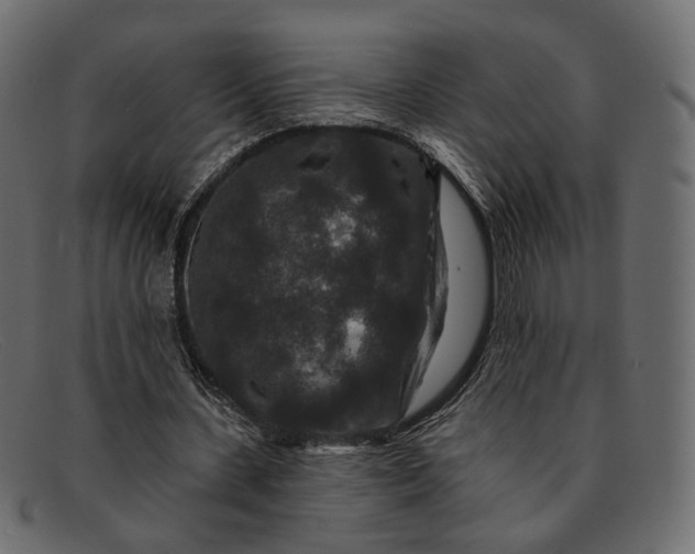 X0000091930531200709191401