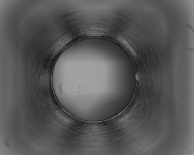 X0000091930533200709191401