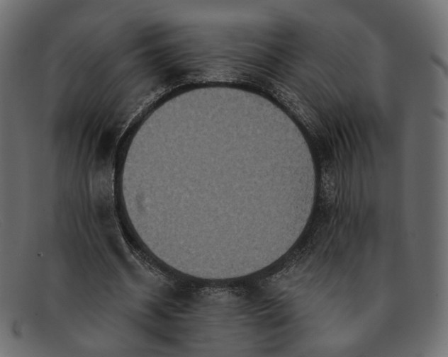 X0000091930534200709191401