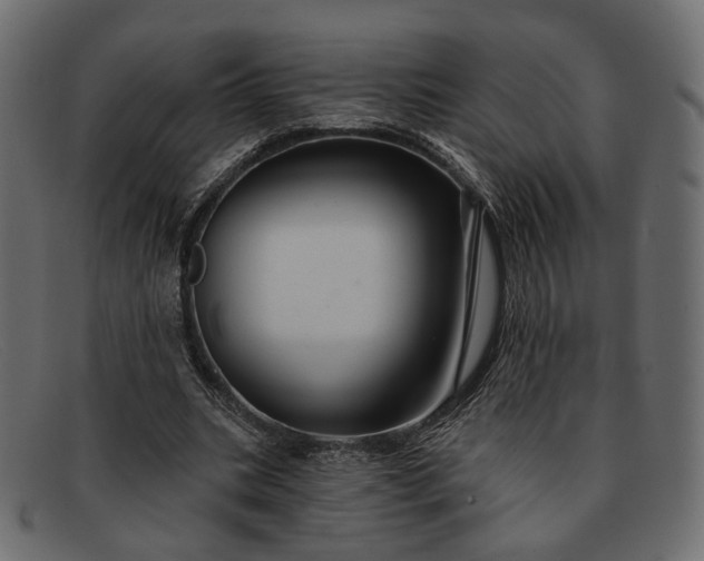 X0000091930535200709191401