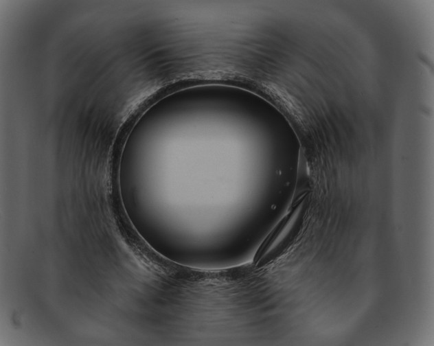 X0000091930536200709191402
