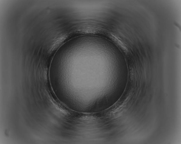 X0000091930537200709191402