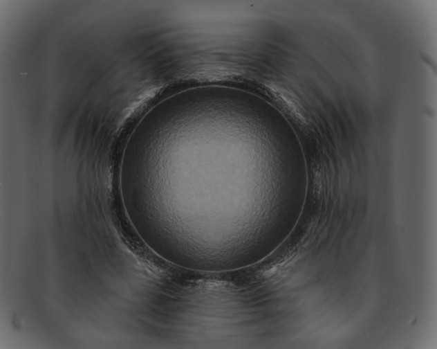 X0000091930539200709191402