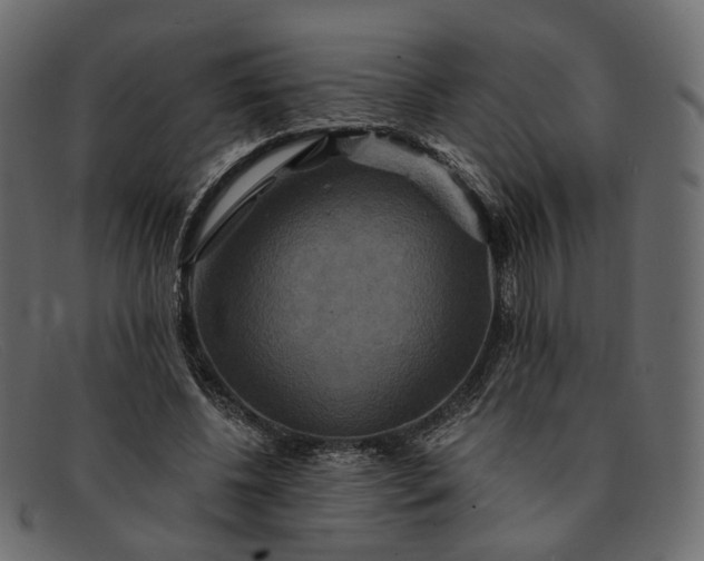 X0000091930540200709191402