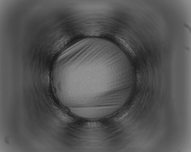X0000091930541200709191402