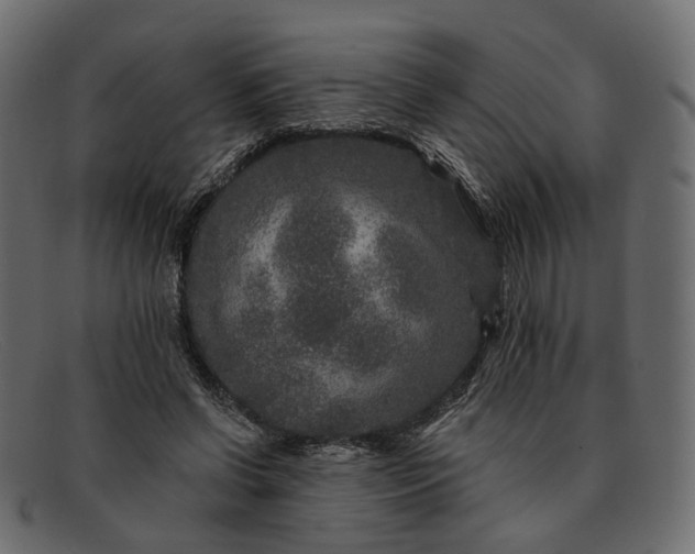X0000091930542200709191402