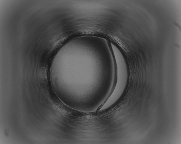 X0000091930543200709191402
