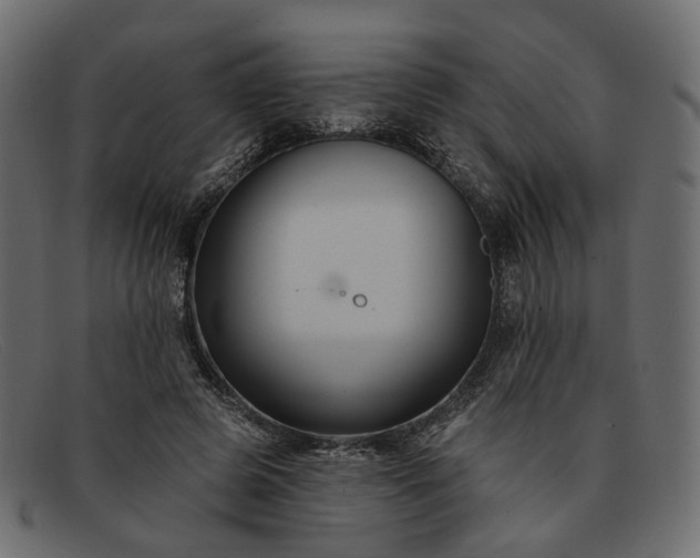 X0000091930545200709191402