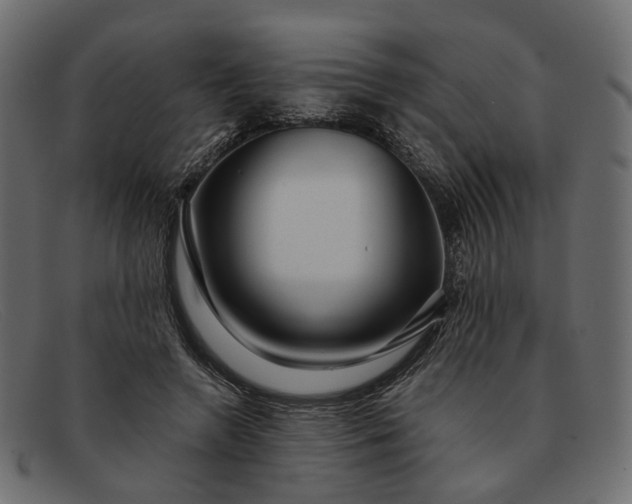 X0000091930546200709191402