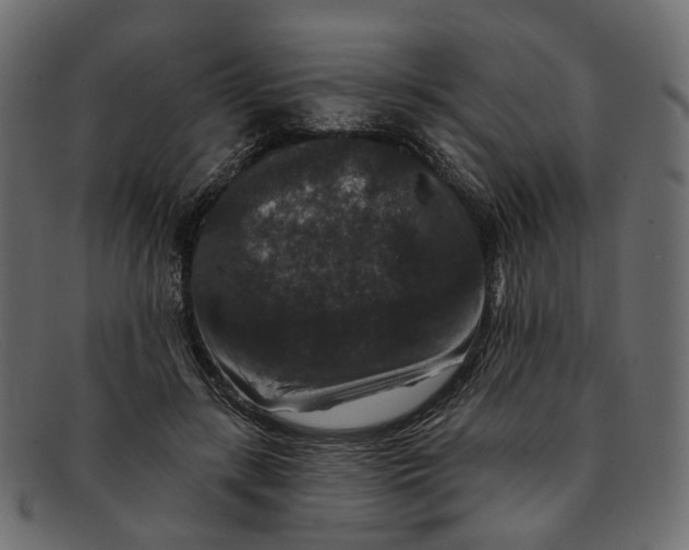 X0000091930547200709191402