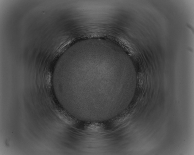 X0000091930550200709191402