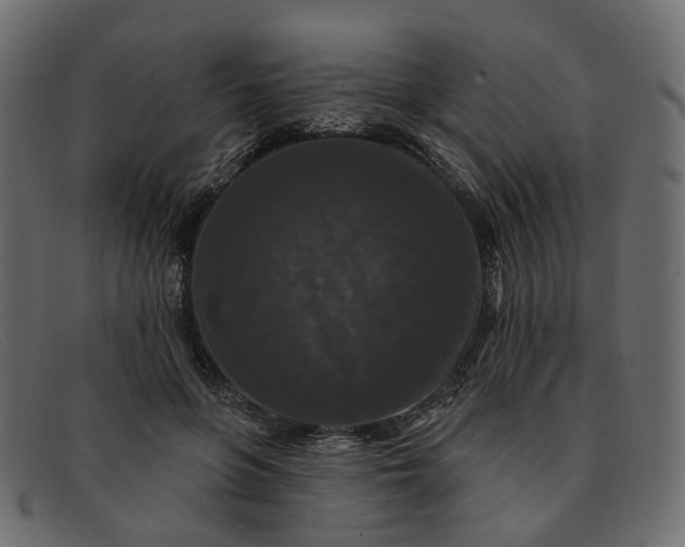 X0000091930551200709191402