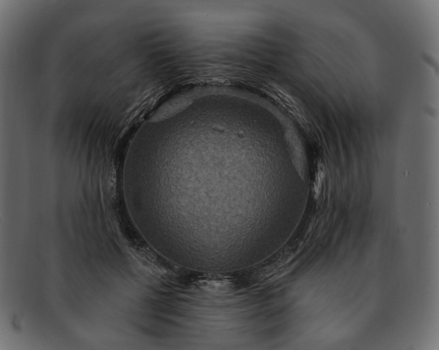 X0000091930552200709191402
