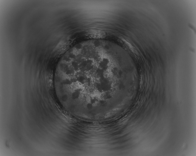 X0000091930553200709191402