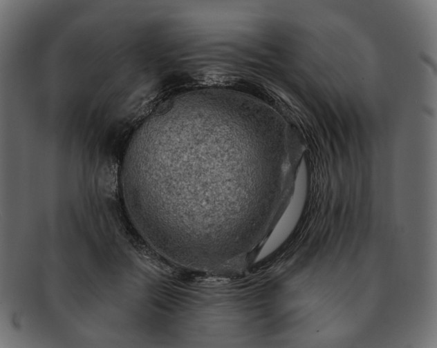 X0000091930554200709191402