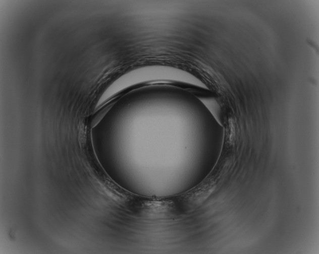 X0000091930558200709191402