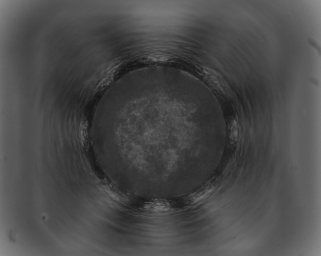 X0000091930559200709191402